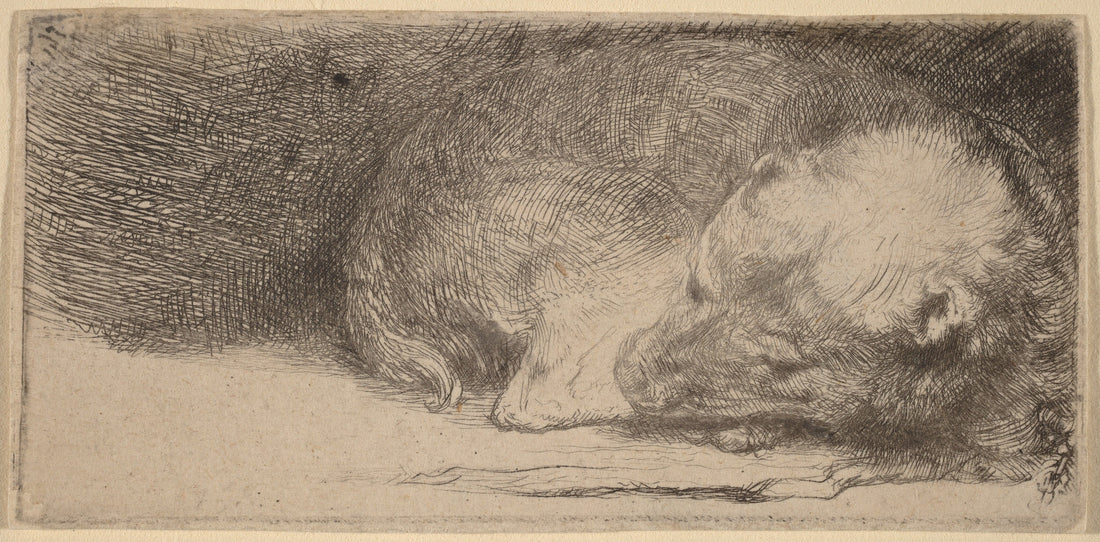 Barks in the Backfield:  What Puppy Bowl reveals about customer experience