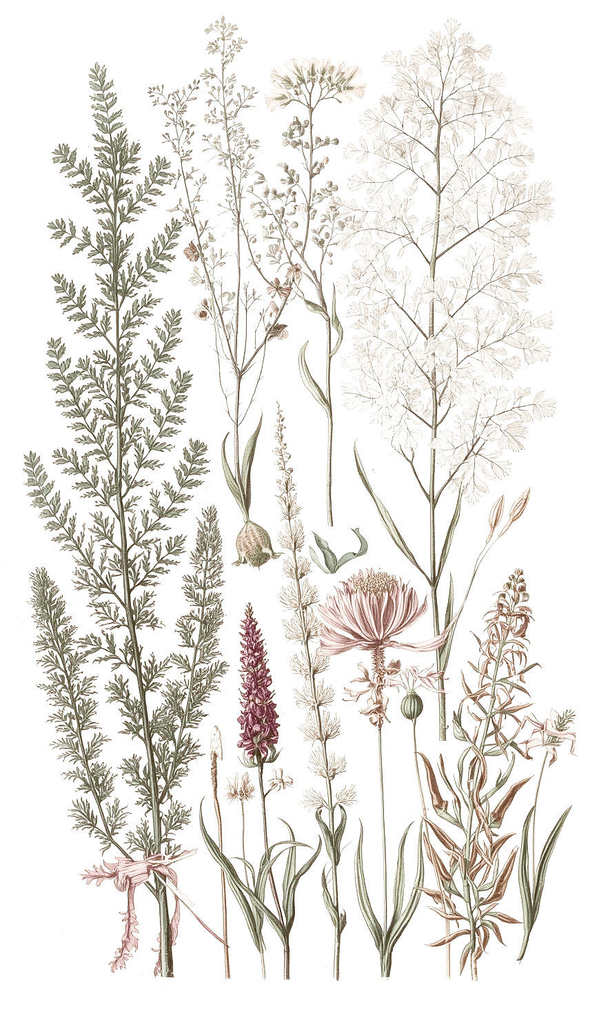 The pen and ink drawing “two ships” by James Whistler